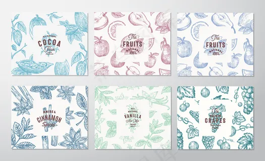手绘葡萄，水果，可可豆，薄荷，坚果和香料卡片。