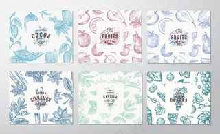 手绘葡萄，水果，可可豆，薄荷，坚果和香料卡片。