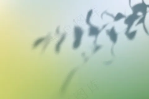 抽象的绿色渐变背景矢量与叶影