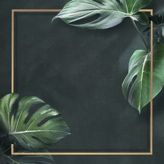 金色方形龟背竹树叶框架设计资源