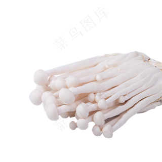 白色创意圆弧蘑菇食物元素