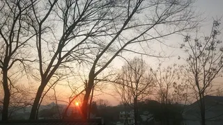 家乡冬日的景色