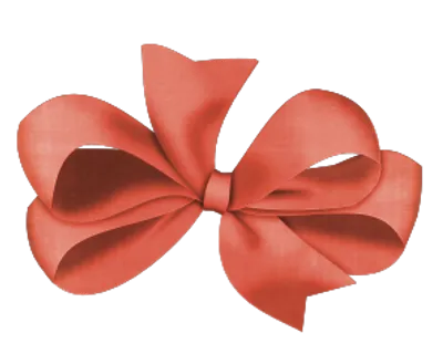 蝴蝶结彩带