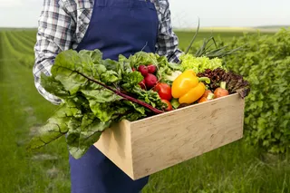 近距离的男性拿着菜篮子