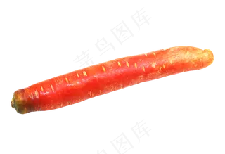 胡萝卜果蔬菜