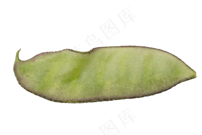 蔬菜食材扁豆(2500X2500(DPI:300))