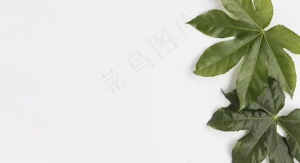 天然化妆品的平铺