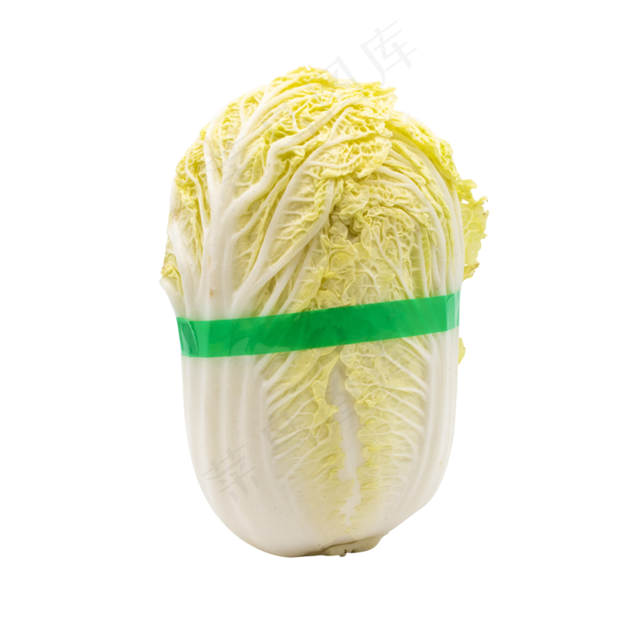 有机蔬菜白菜