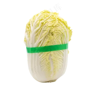 有机蔬菜白菜