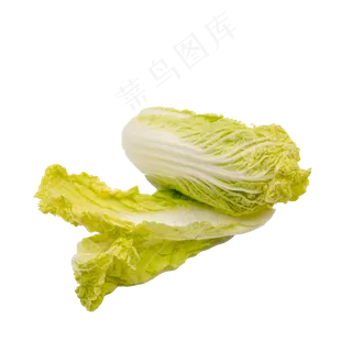 白菜娃娃蔬菜实物拍摄