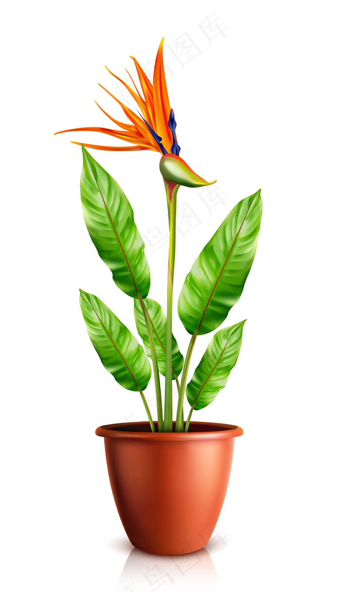 花盆里氏链霉菌eps,ai矢量模版下载