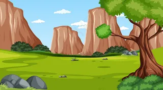 白天场景的空白森林有悬崖背景