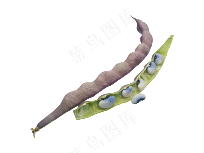 蔬菜豆角(3508X3543(DPI:300))