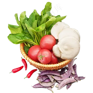 有机蔬菜蔬菜篮子 有机蔬菜蔬菜篮子