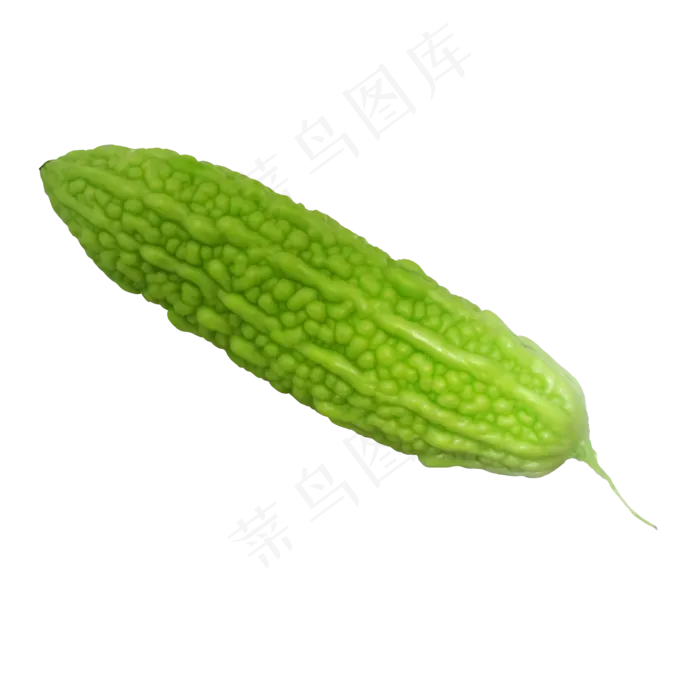 青绿色苦瓜(2000X2000(DPI:300))