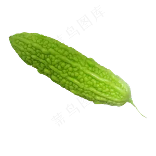青绿色苦瓜