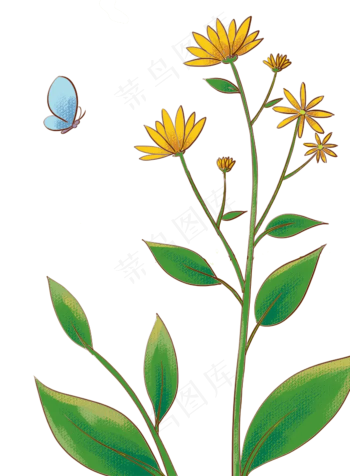 秋天黄色花朵洋姜花田野山林野花(2000X2721(DPI:300))psd模版下载