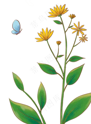 秋天黄色花朵洋姜花田野山林野花