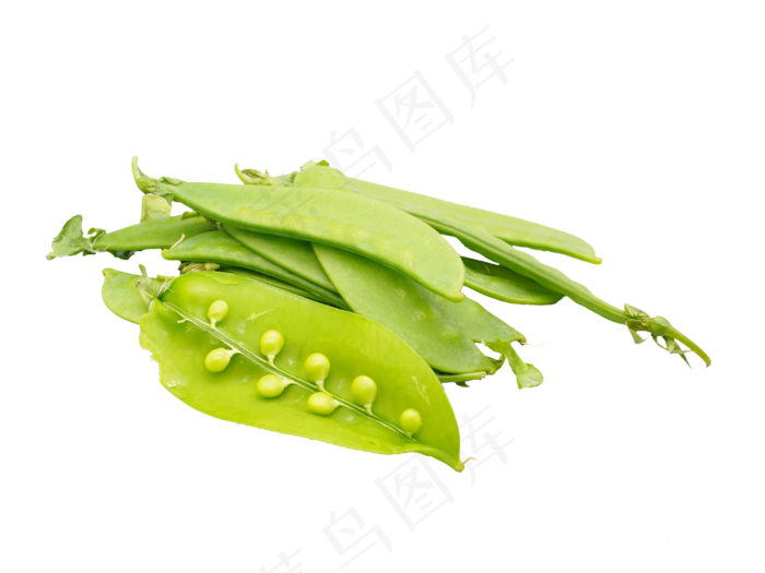 生扁豆扁豆蔬菜