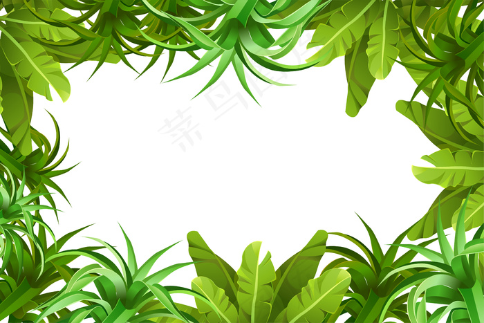 框架丛林植被。