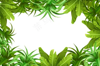 框架丛林植被。