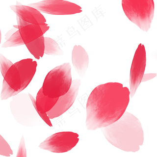 红色花瓣七夕表达爱意花飞舞