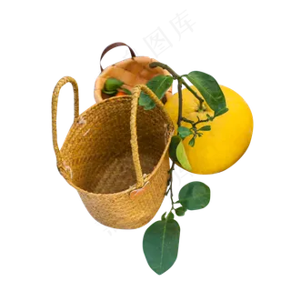 彩色水果篮子元素