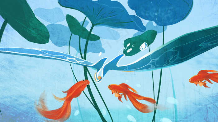 八月你好荷叶下金鱼