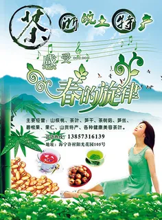茶叶土特产海报