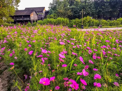 花园景观照 花园景观照