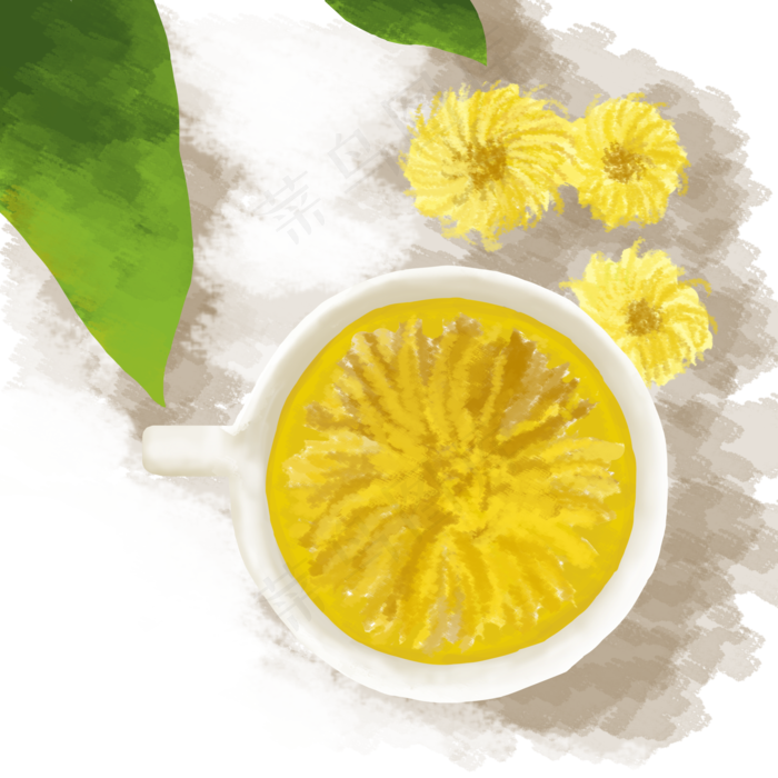 手绘重阳节泡菊花茶(2000X2000(DPI:300))psd模版下载
