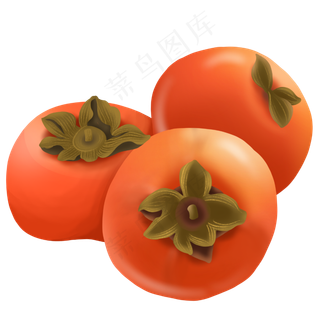 寒露成熟果实柿子