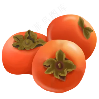 寒露成熟果实柿子