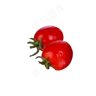 小番茄（png免抠）