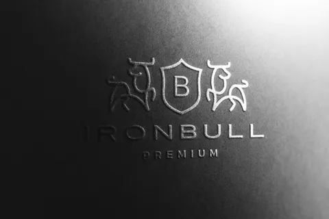 黑纸Logo模型样机