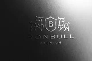 黑纸Logo模型样机