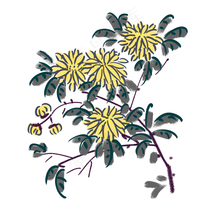 水墨菊花装饰插画