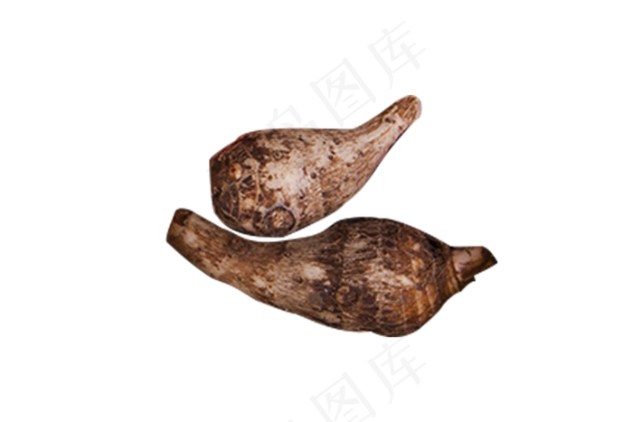芋头实物拍摄矢量图