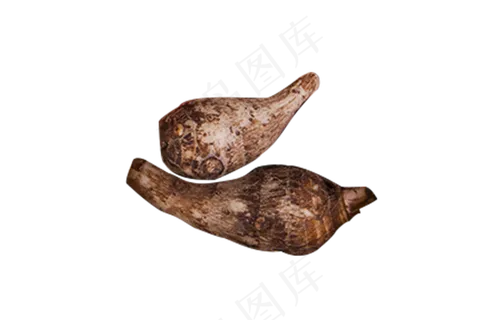 芋头实物拍摄矢量图