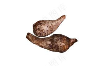 芋头实物拍摄矢量图