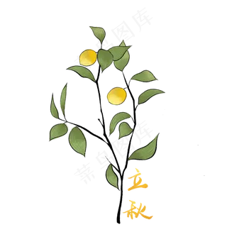 节气立秋植物