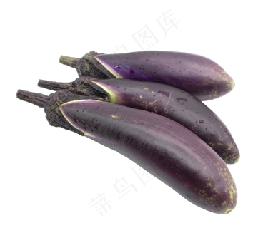 紫色茄子蔬菜