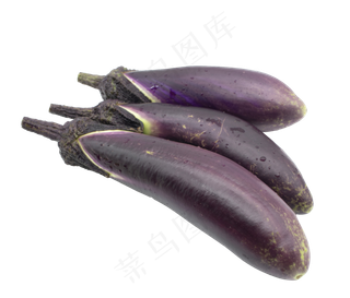 紫色茄子蔬菜