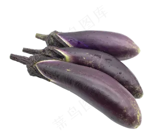 紫色茄子蔬菜