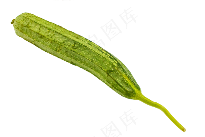 绿色蔬菜丝瓜(3000*2000px 300 dpi )