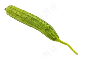 绿色蔬菜丝瓜