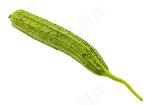 绿色蔬菜丝瓜