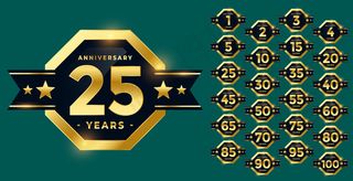 时尚的周年纪念标签和徽章套装在金色套装中