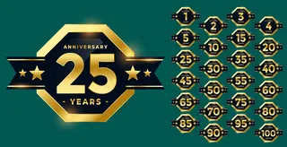 时尚的周年纪念标签和徽章套装在金色套装中