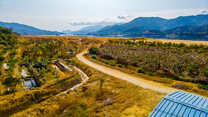 田园风景图